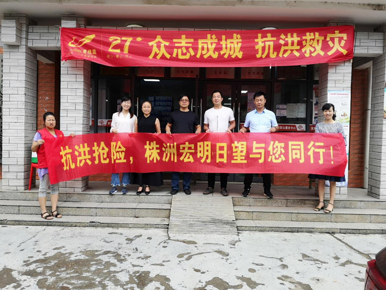 OG视讯(中国)公司官网,宏明日望,株洲电子科技,湖南电容器,株洲电容器,电容器